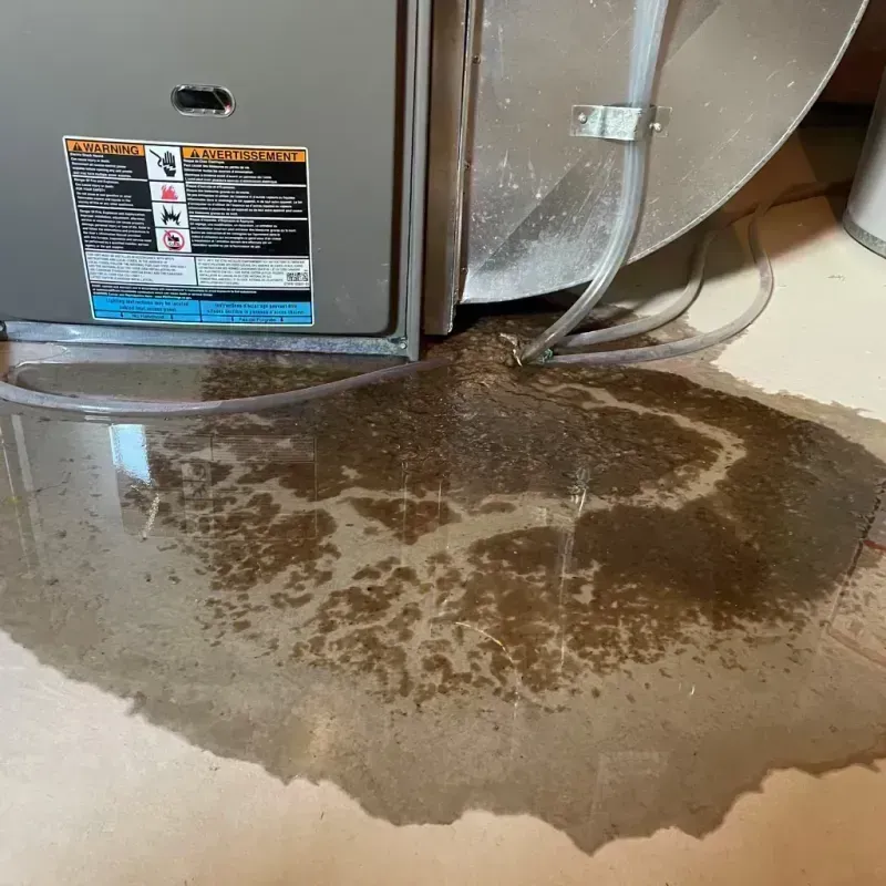 Appliance Leak Cleanup in Edmonson County, KY